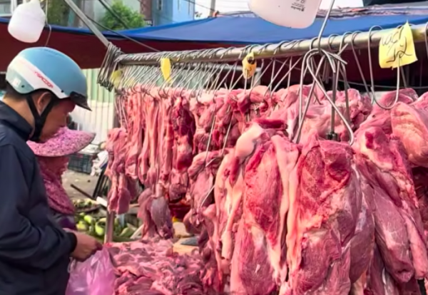 Giá heo hơi hôm nay 8.4.2026: TP.HCM lên mức cao nhất Giá heo hơi hôm nay 8.4.2026: TP.HCM lên mức cao nhất