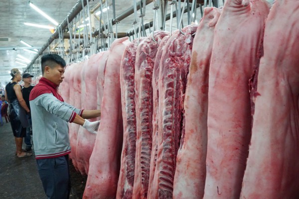 Giá heo hơi hôm nay 8.5.2025: Hạ nhiệt nhờ nguồn cung tăng Giá heo hơi hôm nay 8.5.2025: Hạ nhiệt nhờ nguồn cung tăng