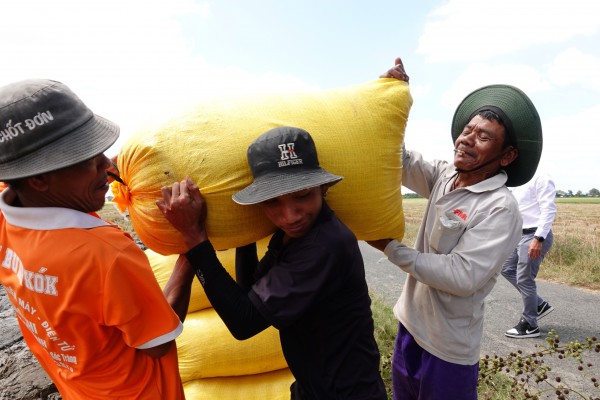 Khách hàng lớn nhất của hạt gạo Việt Nam tăng nhập khẩu Khách hàng lớn nhất của hạt gạo Việt Nam tăng nhập khẩu