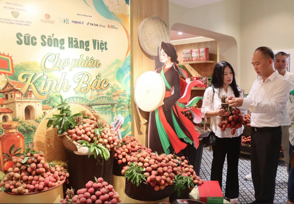 Mỹ, Anh, Pháp, Hà Lan 'tranh mua' quả vải Việt Nam với Trung Quốc