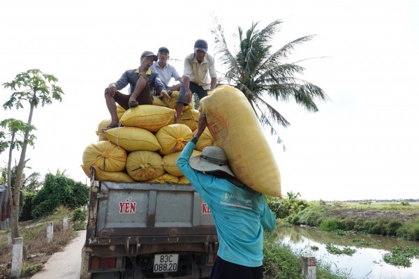 Mỹ dự báo Philippines nhập khẩu gạo kỷ lục tới 5,5 triệu tấn Mỹ dự báo Philippines nhập khẩu gạo kỷ lục tới 5,5 triệu tấn
