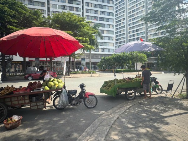 Nghịch lý giá trái cây