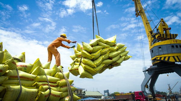 Nông nghiệp Việt Nam gặp khó khi chuyển đổi sang kinh tế tuần hoàn