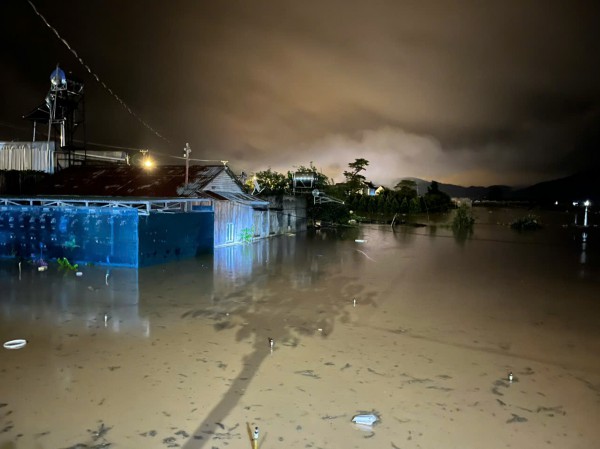 Sau mưa lũ, giá rau xanh ở Lâm Đồng tăng chóng mặt Sau mưa lũ, giá rau xanh ở Lâm Đồng tăng chóng mặt