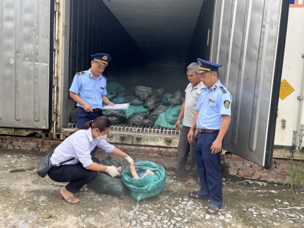 Tạm giữ 1,5 tấn móng giò lợn không rõ nguồn gốc, biến đổi màu sắc và bốc mùi