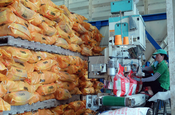 Thị trường gạo Việt Nam thế nào sau khi Philippines mở cửa? Thị trường gạo Việt Nam thế nào sau khi Philippines mở cửa?