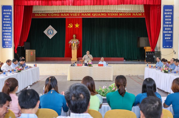 Thủ tướng: Cần liên kết 6 nhà để xây dựng thương hiệu và phát triển sâm Ngọc linh