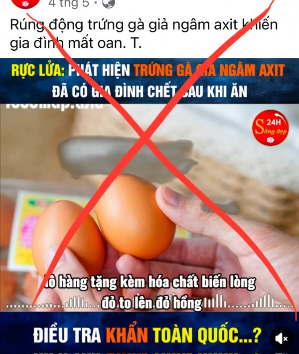 Tin đồn trứng gà giả khiến người chăn nuôi điêu đứng