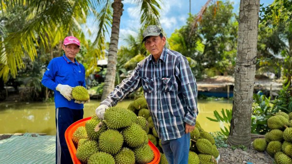 Tin vui với sầu riêng Việt Nam Tin vui với sầu riêng Việt Nam