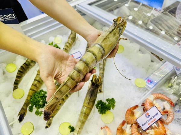 Trung Quốc tăng gom hàng tết, xuất khẩu tôm Việt Nam cao kỷ lục Trung Quốc tăng gom hàng tết, xuất khẩu tôm Việt Nam cao kỷ lục