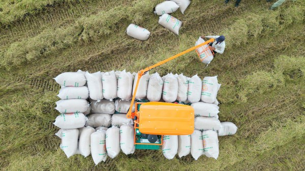 Việt Nam tăng nhập khẩu gạo, dù xuất khẩu giảm sâu Việt Nam tăng nhập khẩu gạo, dù xuất khẩu giảm sâu