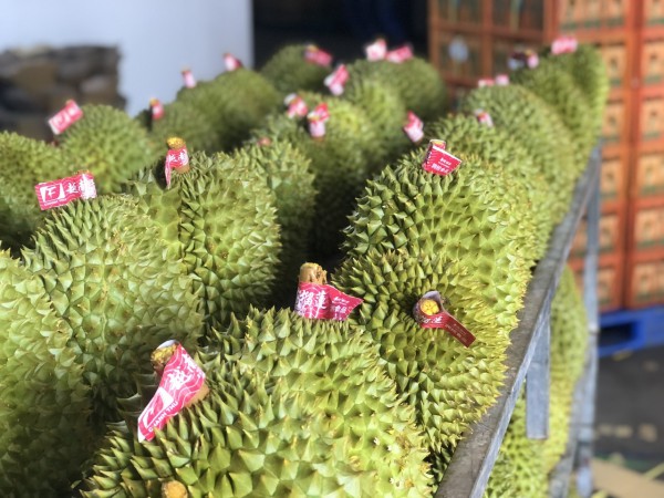 Xuất khẩu rau quả tăng vọt, đạt kỷ lục 1,3 tỉ USD chỉ trong 20 ngày Xuất khẩu rau quả tăng vọt, đạt kỷ lục 1,3 tỉ USD chỉ trong 20 ngày