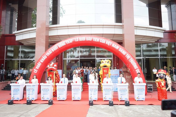 Đồng Tháp xuất khẩu lô bưởi đầu tiên sang Úc