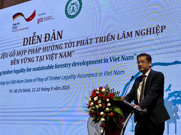 Đức, EU đồng hành cùng Việt Nam đảm bảo nguyên liệu gỗ xuất khẩu Đức, EU đồng hành cùng Việt Nam đảm bảo nguyên liệu gỗ xuất khẩu