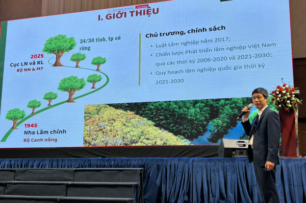 Đức, EU đồng hành cùng Việt Nam đảm bảo nguyên liệu gỗ xuất khẩu Đức, EU đồng hành cùng Việt Nam đảm bảo nguyên liệu gỗ xuất khẩu