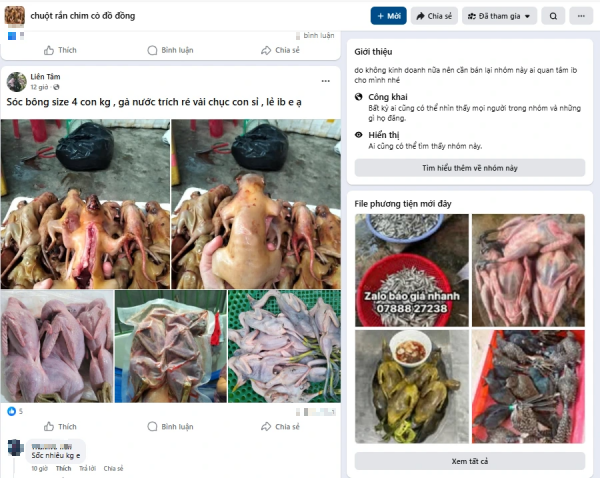 Bán chim trời, thú rừng công khai thách thức pháp luật Bán chim trời, thú rừng công khai thách thức pháp luật