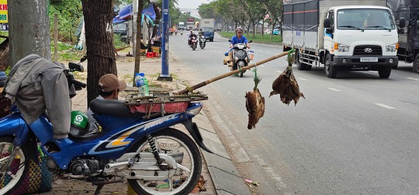 Bán chim trời, thú rừng công khai thách thức pháp luật Bán chim trời, thú rừng công khai thách thức pháp luật