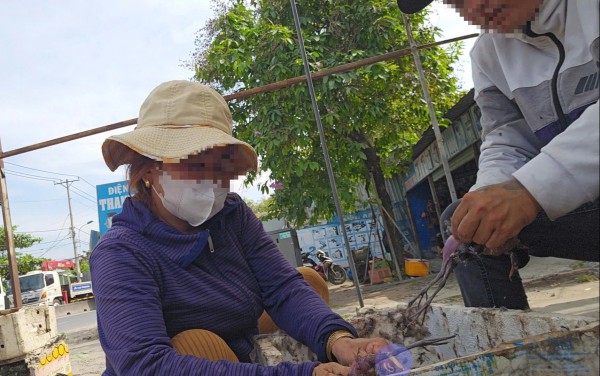 Bán chim trời, thú rừng công khai thách thức pháp luật Bán chim trời, thú rừng công khai thách thức pháp luật