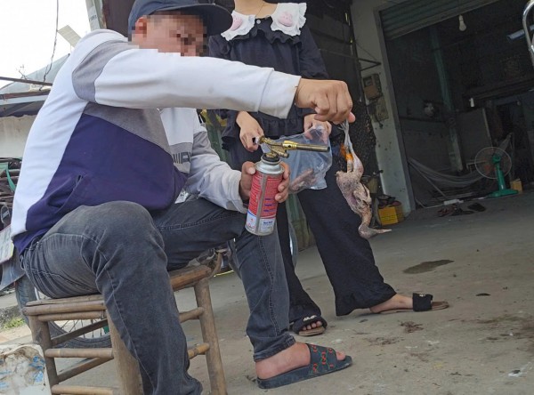 Bán chim trời, thú rừng công khai thách thức pháp luật Bán chim trời, thú rừng công khai thách thức pháp luật