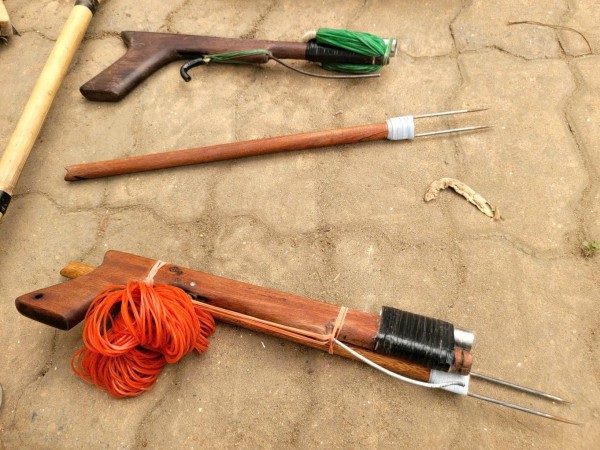 Bắt băng nhóm chuyên trộm mèo, mang bình xịt hơi cay chống trả người truy đuổi