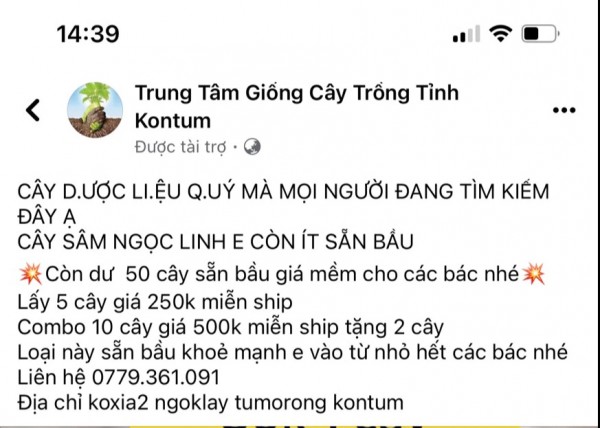 Bị khởi tố vì lấy sâm Trung Quốc giả sâm Ngọc Linh rao bán