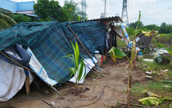 Cà Mau: Chiếm đất nông nghiệp trái phép, bị xử phạt 105 triệu đồng Cà Mau: Chiếm đất nông nghiệp trái phép, bị xử phạt 105 triệu đồng