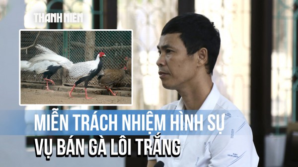 Cần phải rút kinh nghiệm vụ phạt người nuôi gà lôi trắng 6 năm tù
