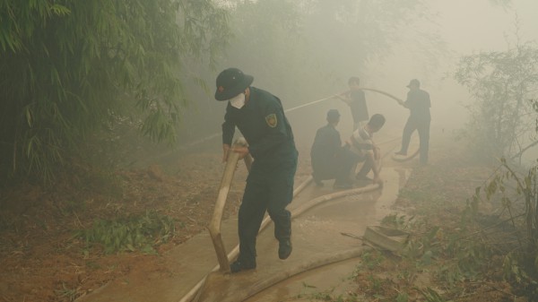 Cháy lớn tại Vườn Quốc gia Tràm Chim