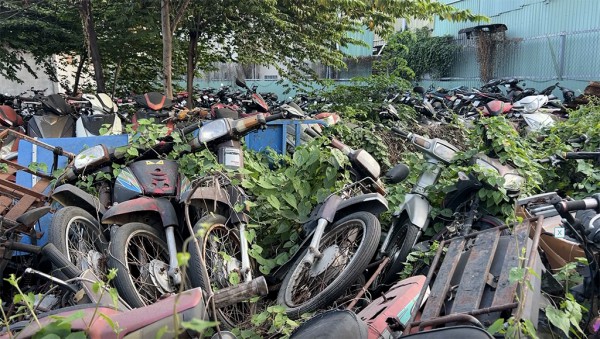 Cho bán ngay tang vật nếu không có nơi bảo quản? Cho bán ngay tang vật nếu không có nơi bảo quản?