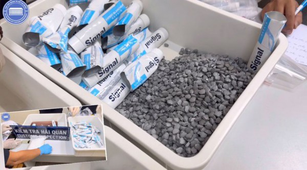 Chuyên án bí số VN10: Truy tố người mẫu An Tây, ca sĩ Chi Dân, 'cô tiên' Trúc Phương