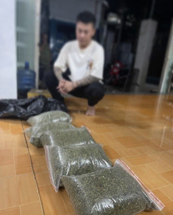 Công an Quảng Ngãi phát hiện vụ mua bán 'cỏ Mỹ', nước cốt ma túy