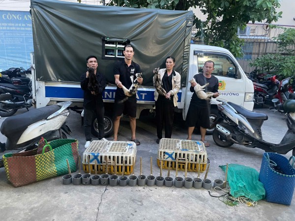 Công an TP.HCM phá đường dây trộm cắp, thu giữ hơn 500 con mèo Công an TP.HCM phá đường dây trộm cắp, thu giữ hơn 500 con mèo