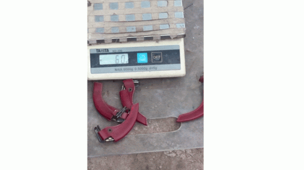 Công an TP.HCM triệt phá sới gà 'bịp', thao túng bằng công nghệ