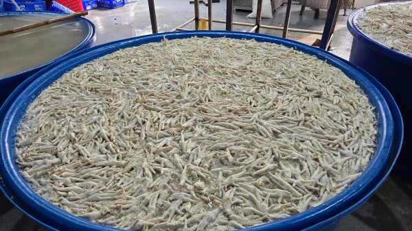 Gần 7 tấn chân gà ngâm tẩy trắng bằng ô xy già Gần 7 tấn chân gà ngâm tẩy trắng bằng ô xy già
