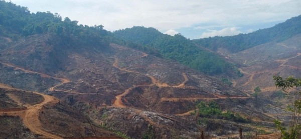 Gia Lai điều tra vụ phá rừng trên diện tích 94 ha Gia Lai điều tra vụ phá rừng trên diện tích 94 ha