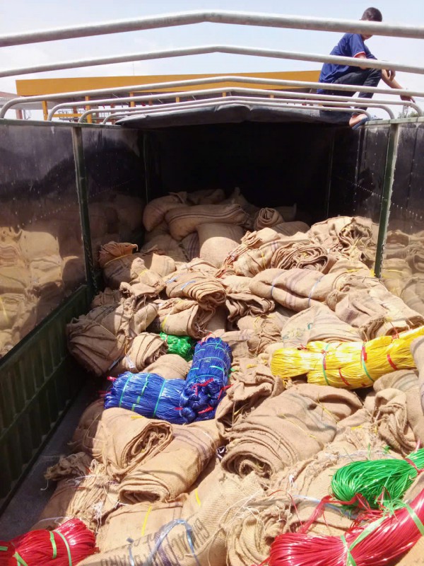 Khởi tố 24 bị can 'rút ruột' 500 tấn hạt điều ở cảng Sài Gòn Hiệp Phước