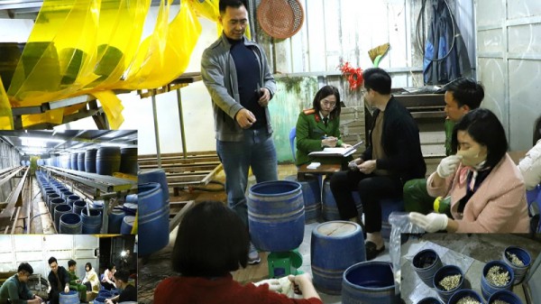 Khởi tố chủ cơ sở dùng chất kích thích sản xuất gần 2,8 tấn giá đỗ