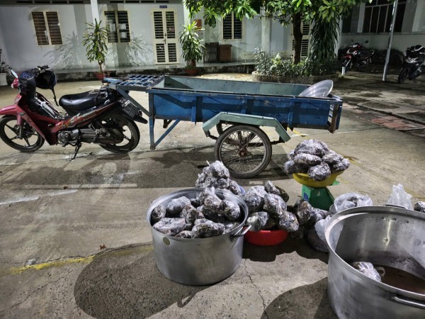 Kiểm lâm Tây Ninh bắt giữ vụ vận chuyển 127 kg thằn lằn núi Bà Đen Kiểm lâm Tây Ninh bắt giữ vụ vận chuyển 127 kg thằn lằn núi Bà Đen