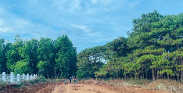 Lần theo dấu xe mô tô nghi của nhóm cướp ngân hàng ở Gia Lai Lần theo dấu xe mô tô nghi của nhóm cướp ngân hàng ở Gia Lai