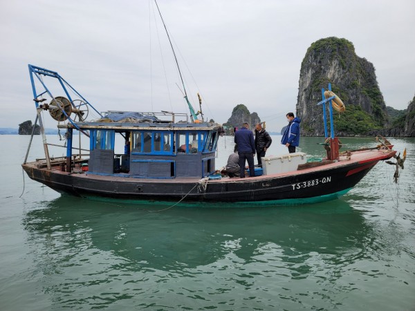 Lĩnh 9 tháng án treo vì dùng kích điện đánh bắt cá trên vịnh Hạ Long