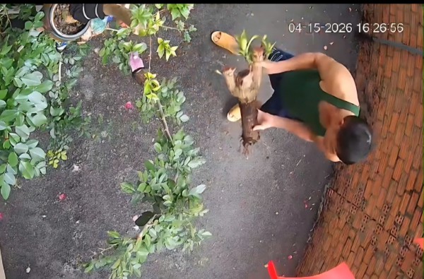 Mâu thuẫn lối đi chung, dùng gốc cây đánh hàng xóm bị thương