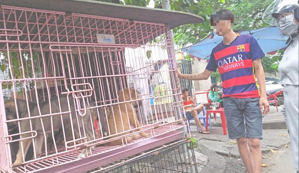 Nhức nhối trộm chó, mèo ở TP.HCM - Kỳ 2: Dùng AI tạo chó giả để lừa tiền chuộc Nhức nhối trộm chó, mèo ở TP.HCM - Kỳ 2: Dùng AI tạo chó giả để lừa tiền chuộc