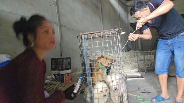 Nhức nhối trộm chó, mèo ở TP.HCM - Kỳ 2: Dùng AI tạo chó giả để lừa tiền chuộc Nhức nhối trộm chó, mèo ở TP.HCM - Kỳ 2: Dùng AI tạo chó giả để lừa tiền chuộc