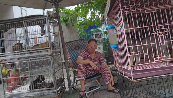 Nhức nhối trộm chó, mèo ở TP.HCM - Kỳ 2: Dùng AI tạo chó giả để lừa tiền chuộc Nhức nhối trộm chó, mèo ở TP.HCM - Kỳ 2: Dùng AI tạo chó giả để lừa tiền chuộc