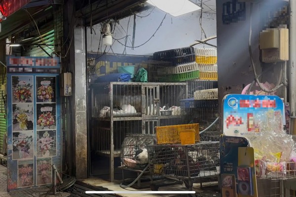 Nhức nhối trộm chó, mèo ở TP.HCM - Kỳ 3: Mạnh tay dẹp nạn trộm thú cưng Nhức nhối trộm chó, mèo ở TP.HCM - Kỳ 3: Mạnh tay dẹp nạn trộm thú cưng