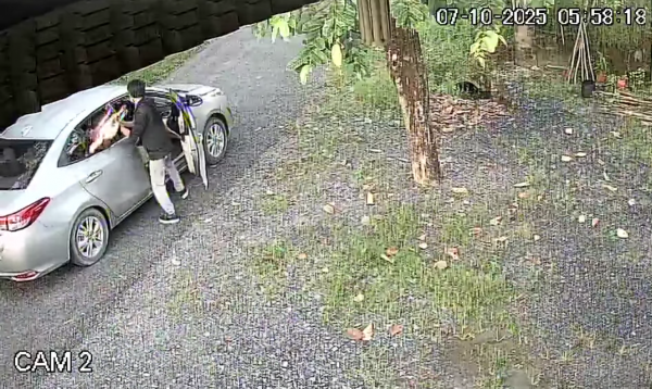 Nhức nhối trộm chó mèo ở TP.HCM: Manh động và táo tợn