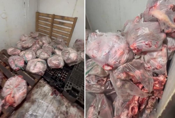 Phát hiện hơn nửa tấn thịt heo bốc mùi ở lò mổ trái phép