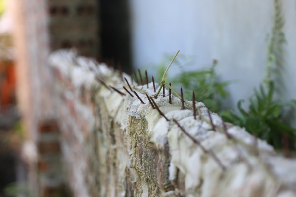 Phát hiện nhiều gậy gỗ tại Trung tâm Công tác xã hội Hải Hà