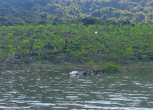 Phát hiện thi thể nam nổi trên hồ Đá Trải, công an Gia Lai vào cuộc
