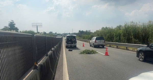 Phát hiện thi thể người nước ngoài trên cao tốc Trung Lương - Mỹ Thuận